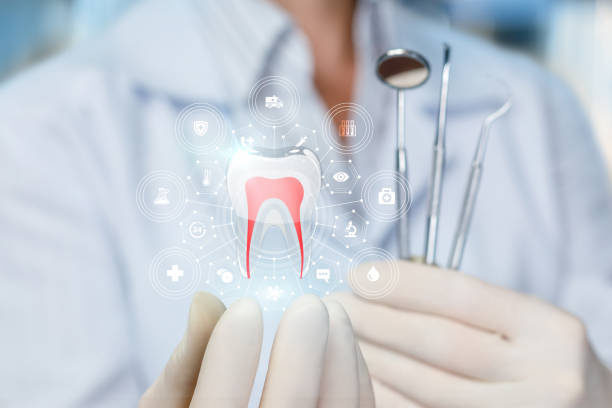 Best Pediatric Dentistry  in Pato, WA